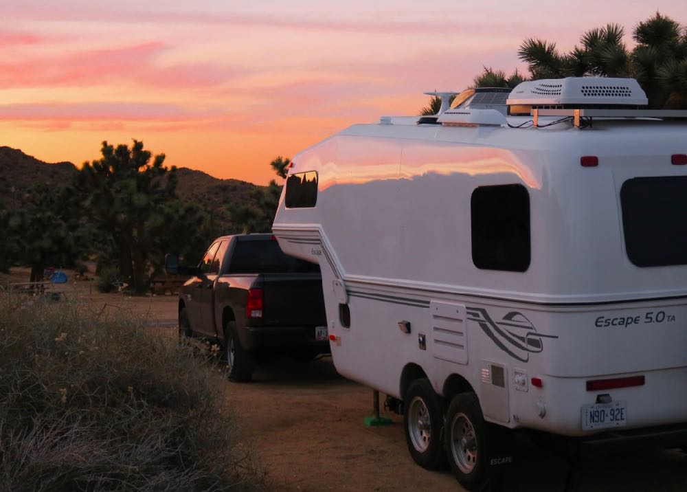joshua tree02