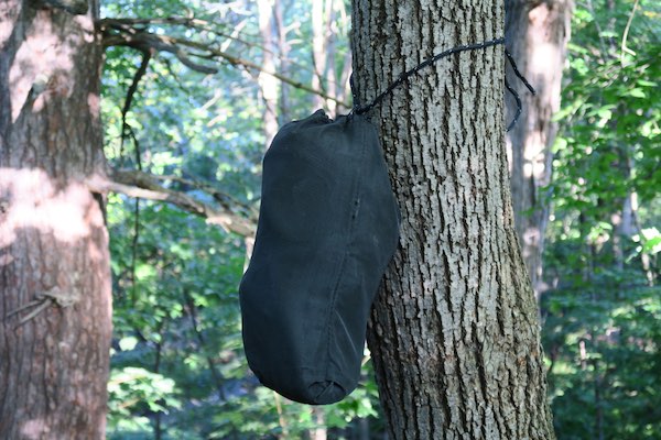 Ursack hanging in tree